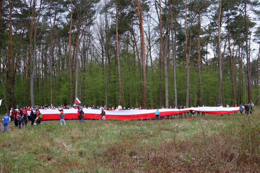 Bieg Konstytucji 3 maja w Lesie Kapturskim. Uczestniczyło prawie 300 osób (DUŻO ZDJĘĆ) 