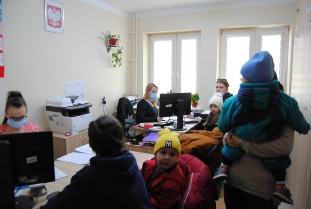 Rejestracja uchodźców z Ukrainy w Urzędzie Gminy Włoszczowa. Więcej na następnych slajdach >>>
