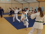 Judo: Zgrupowanie sportowe w Starym Kaleńsku koło Czaplinka [zdjęcia] 
