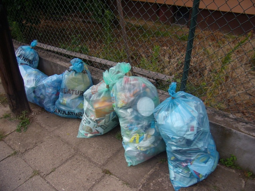 Ustawa śmieciowa: Chcemy wyrzucić śmieci. Ale gdzie?