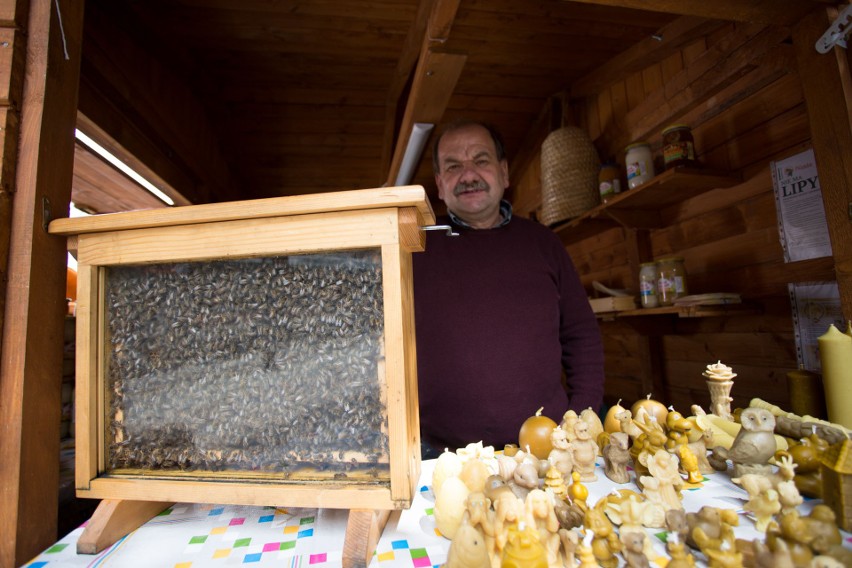Kto ma pszczoły ten ma miód. Urzędnicy postawią pasiekę pod słupskim ratuszem
