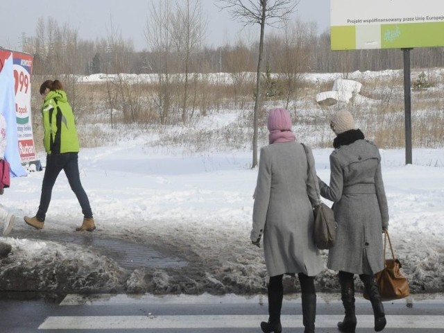 Na tych niezagospodarowanych terenach będzie Park Akademicki - taka jest koncepcja Miejskiej Pracowni Urbanistycznej