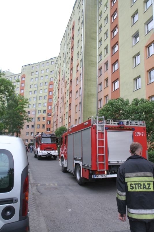 Wrocław: Mężczyzna wypadł z okna 11-piętrowego bloku przy Orzechowej (ZDJĘCIA)