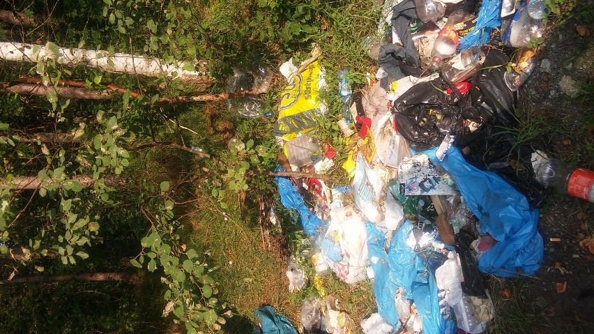Śmieci zalegają przy ścieżce rowerowej w Trzebiesławicach