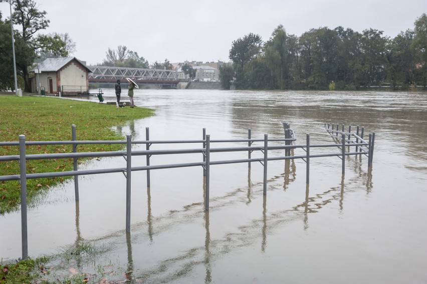 Powódź w Brzegu
