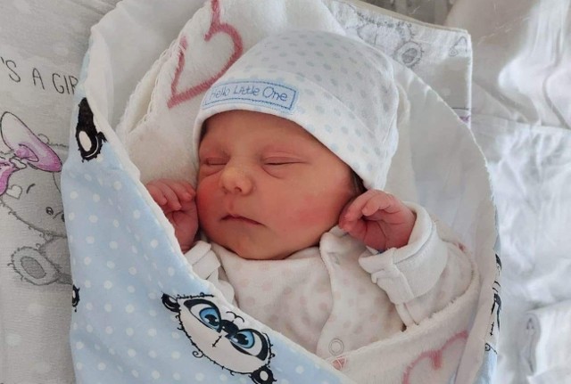 Urszula Stępniewska, córka radnego Marcina Stępniewskiego przyszła na świat 22 listopada.