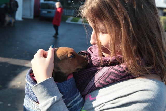 Dominika przyjechała do schroniska do towarzystwa, z rodziną, bez zamiaru adopcji. Ale wyszła ze słodkim szczeniakiem.