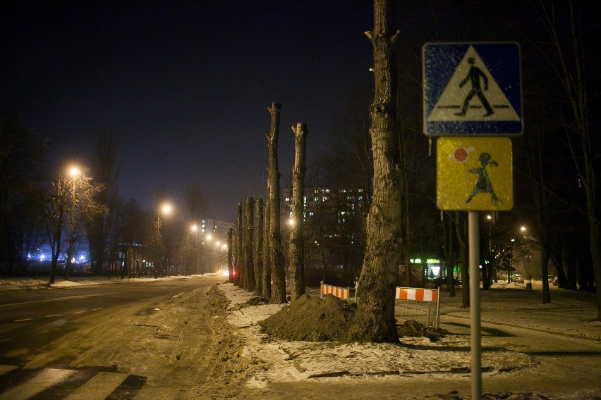 Wycinka drzewa przy ul. Rojnej. Wszystko przez remont i pylenie [ZDJĘCIA]