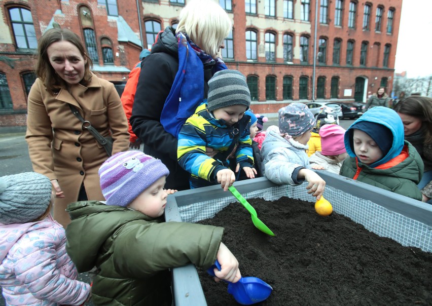 Przy Pałacu Młodzieży powstaje Pałacowy Ogród. Dzieci posadziły drzewa