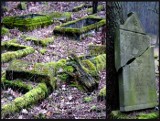 Niezwykły cmentarz ewangelicki w Zielonej Górze Janach [ZDJĘCIA]