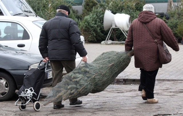 Ceny choinek. 2015 rok nas zaskoczy?