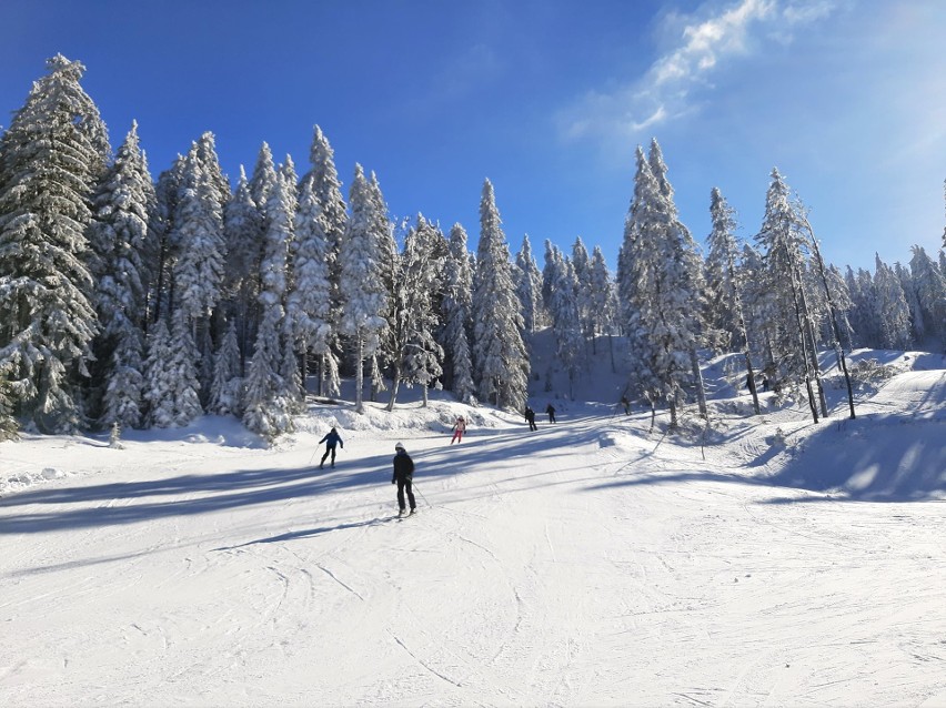 Warunki narciarskie w Beskidach. Gdzie można pojeździć na nartach?