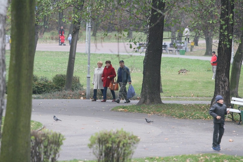 Jesień 2013: Park Kościuszki w Katowicach i Park Śląski [ZDJĘCIA]
