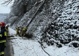 Ponad pół tysiąca odbiorców TAURONU w gminie Łącko bez prądu. Śnieg i powalone drzewa uszkodziły linie