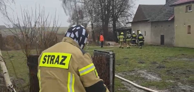 Śląskie. Pogoda szaleje - podtopienia i powalone drzewa w regionie częstochowskim