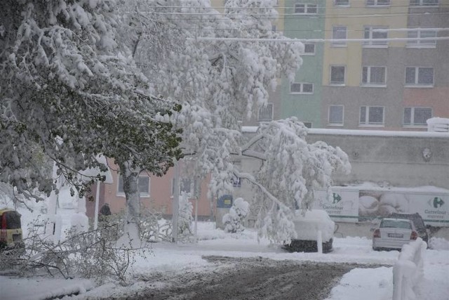 Tak wyglądała Częstochowa trzy lata temu. Śnieżyca sparaliżowała miastoZobacz kolejne zdjęcia. Przesuwaj zdjęcia w prawo - naciśnij strzałkę lub przycisk NASTĘPNE