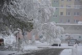 Tak wyglądała Częstochowa trzy lata temu. Śnieżyca sparaliżowała miasto