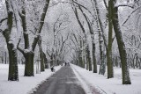 Jaka będzie zima 2023/2024? Czy do Łodzi przyjdą mrozy i śnieżyce? 
