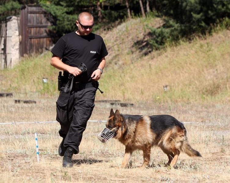Zawody psów policyjnych