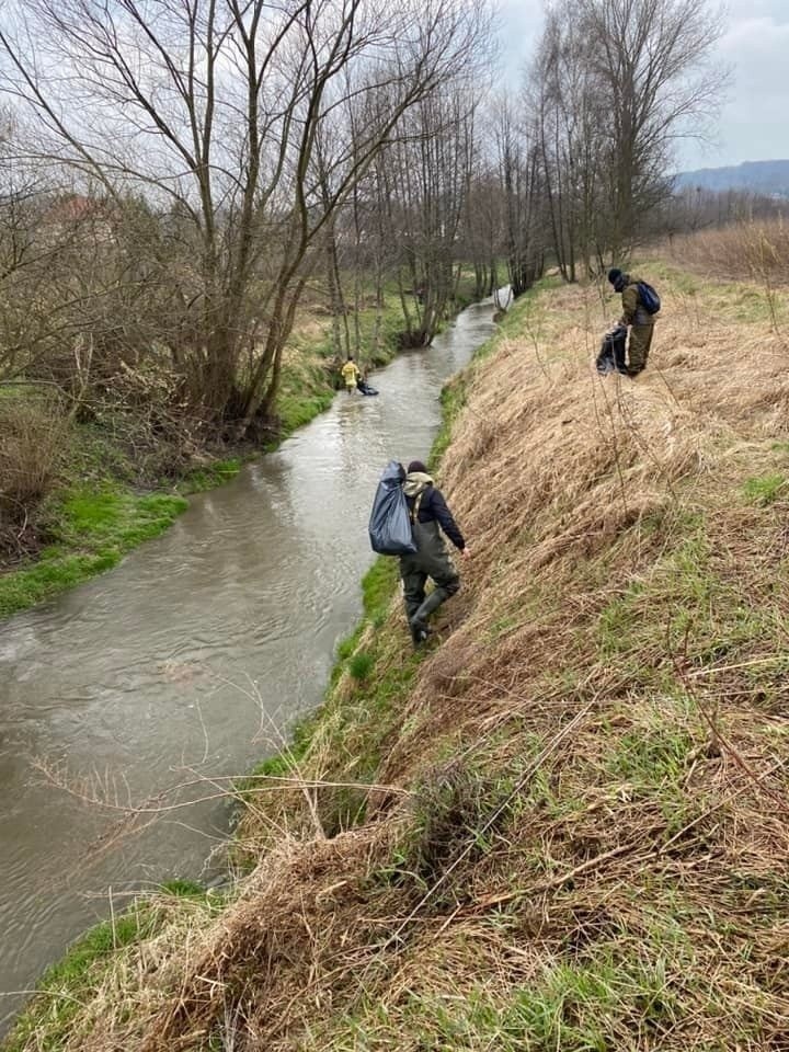 Sprzątanie Rudawy wioski i rzeki. To akacja prowadzona...