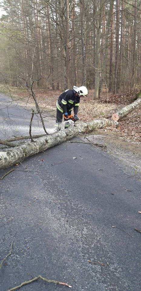 Wtorkowe akcje strażaków