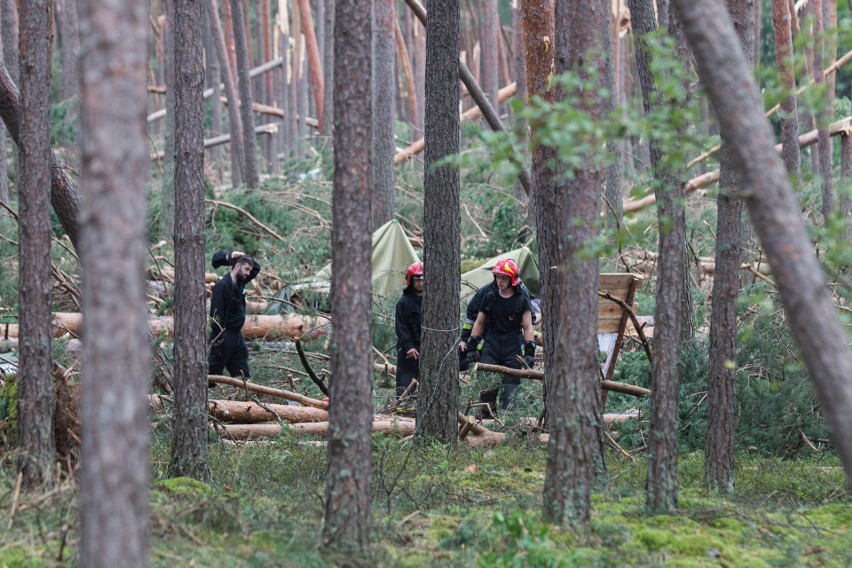 Suszek - las po nawałnicy, rok 2017