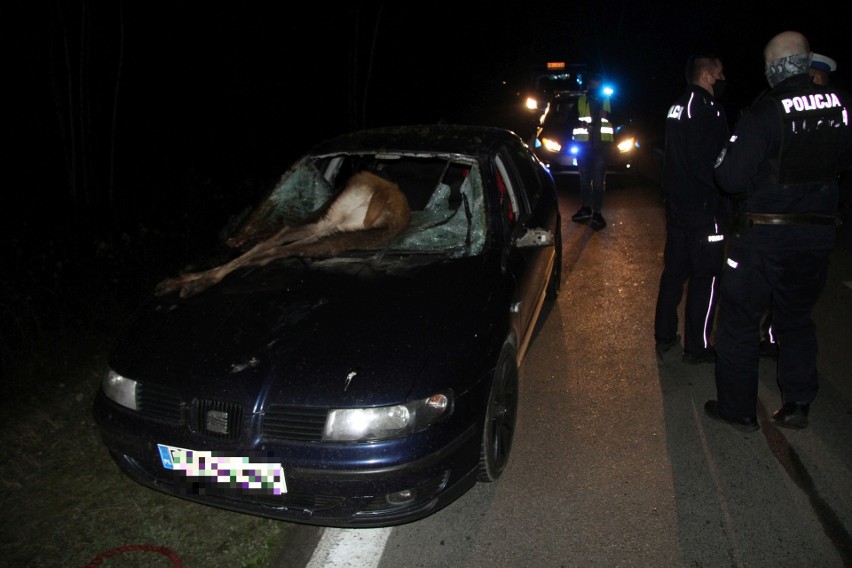 Groźne zdarzenie drogowe na Wisłostradzie w Tarnobrzegu. Dwa rozbite samochody po zderzeniu z jeleniem (DRASTYCZNE ZDJĘCIA)