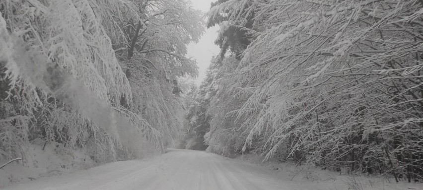 Piękne zimowe widoki w Świętokrzyskiem na Waszych zdjęciach. Cały region pod śniegiem
