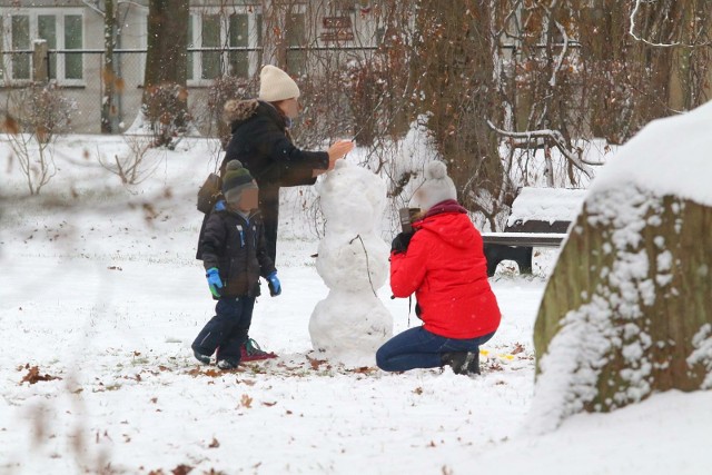 Stolica Dolnego Śląska pokryta śniegiem. Jak długo będzie biało?