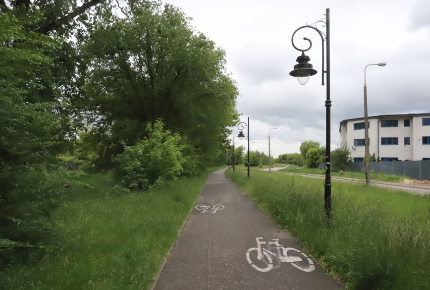 Ścieżka  rowerowa wzdłuż Bulwarów nad Mleczną