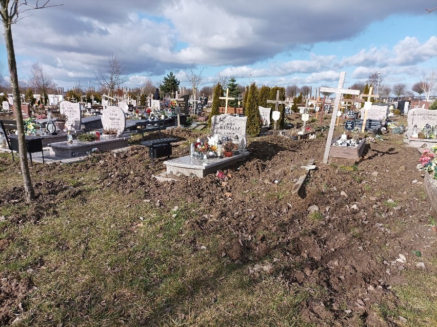 Zniszczone groby i kwatery po wizycie dzików na Cmentarzu Zachodnim. Elektryczny pastuch ma rozwiązać problem 