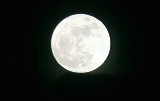 Pełnia Kwiatowego Księżyca 2020. Kiedy w maju będziemy obserwować pełnię księżyca?