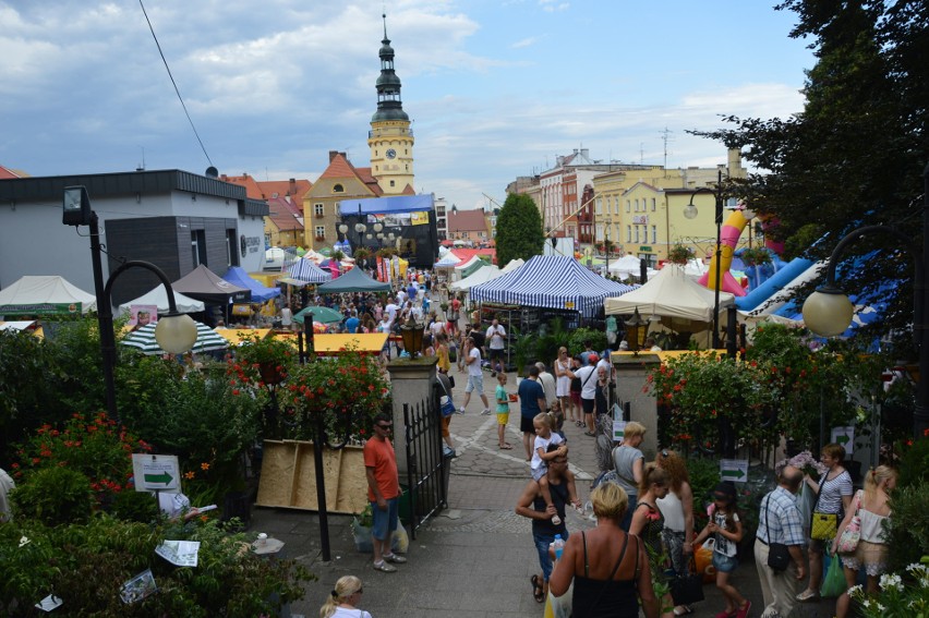 W piątek rusza 48. Lato Kwiatów w Otmuchowie. Wystawców będzie trzy razy więcej