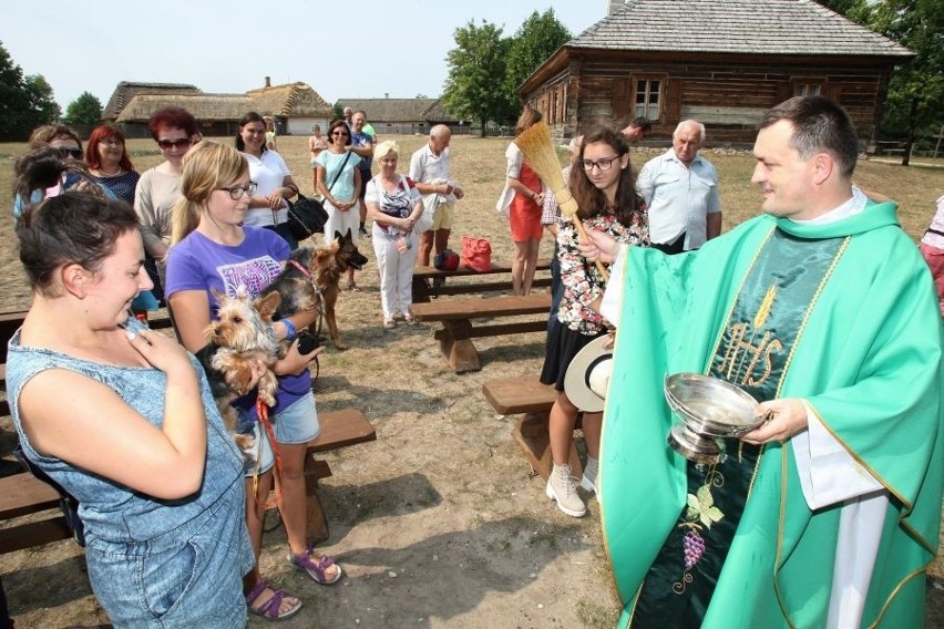 Dzień Świętego Franciszka w Tokarni