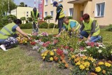 Inwestycje skrojone na miarę możliwości przynoszą najlepsze rezultaty. Tak właśnie zmienia się gmina Wielgie