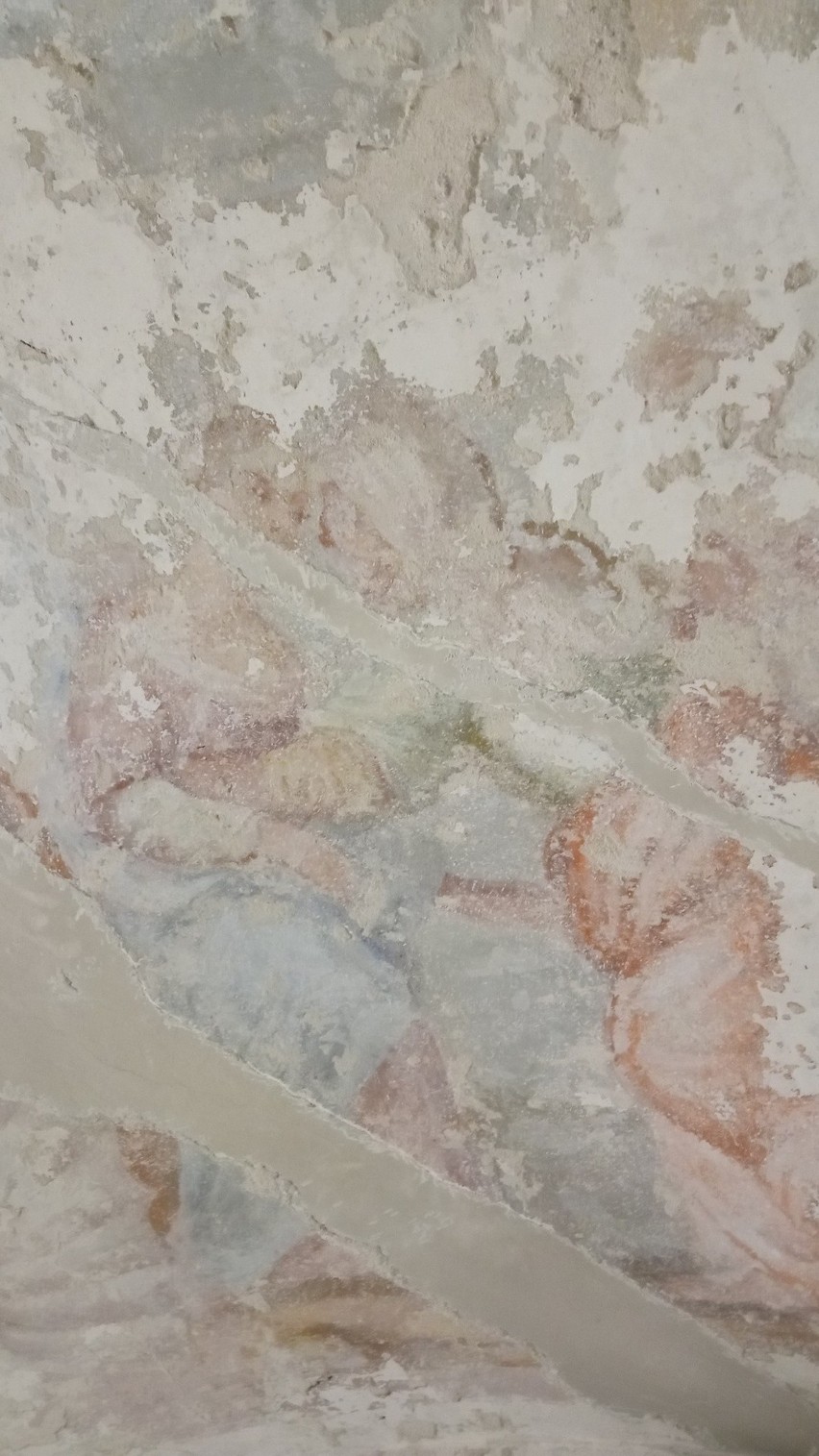 300-letnie freski odkryte u kapucynów w Krakowie