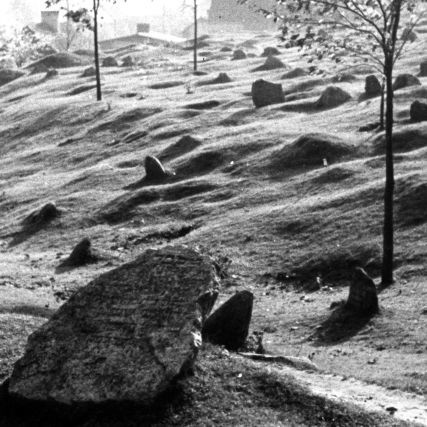 Na starym cmentarzu żydowskim przy ul. Rybaki zachowało się ok. 150 nagrobków. Tworzą lapidarium.