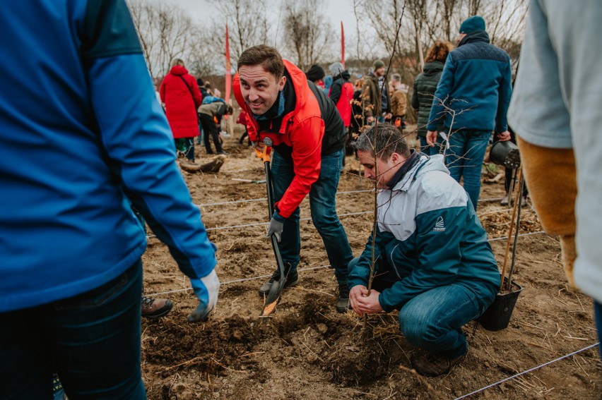 W Gdańsku mieszkańcy zasadzili nowe drzewa i krzewy....