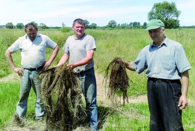 Rybami teraz siano cuchnie! Ani na kompost, ani to spalić - mówią rolnicy ze wsi Koziki - Konopki