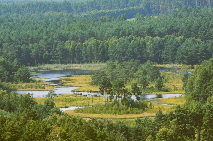 Wyniki konkursu fotograficznego „Krajobrazy Wdzydzkiego Parku Krajobrazowego”