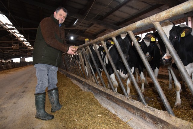 Piotr Doligalski twierdzi, że także w niektórych gospodarstwach mleczarskich rolnicy chcą zrezygnować z produkcji zwierzęcej.