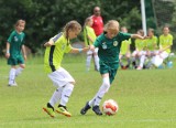 Silesia Cup na Stadionie Śląskim: Poznaliśmy zwycięzców dziecięcego turnieju do lat 11 ZDJĘCIA