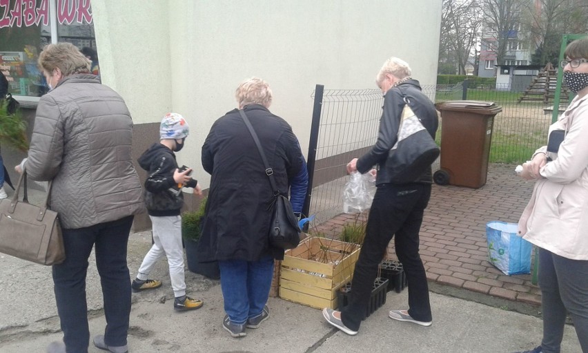 Fundacja „Aktywni Obecni” z Golubia-Dobrzynia przeprowadziła...