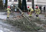 Silne wichury w całej Polsce. Tysiące interwencji strażackich: Najtrudniejsze godziny przed nami