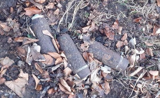 Pociski znalezione w masywie leśnym w gminie Krzeszowice