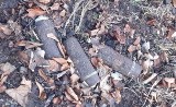 Krzeszowice. Pocisk artyleryjskie i pocisk moździerzowy znalezione w lesie