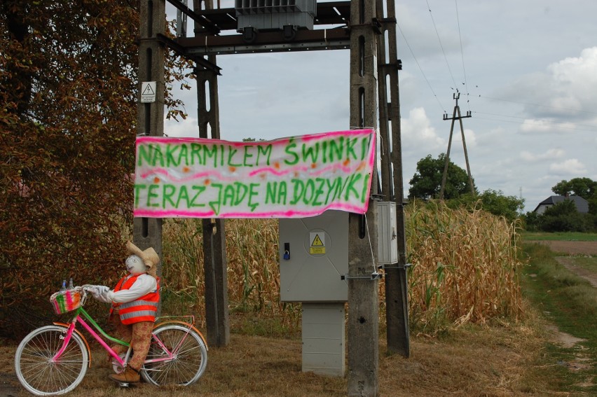 Przy sprzyjającej pogodzie rolnicy z gminy Janikowo...