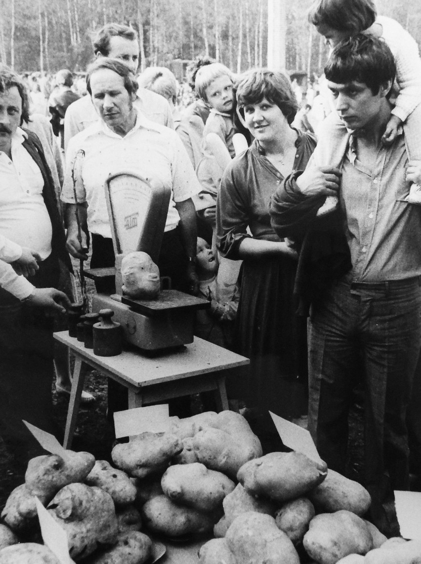 Święto ziemniaka w Mońkach, 1985 rok