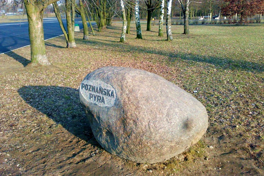 Pomnik poznańskiej pyry