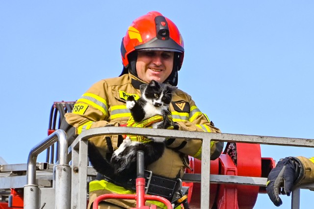 Strażacy ratują kota